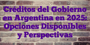 Créditos del Gobierno en Argentina en 2025: Opciones Disponibles y Perspectivas