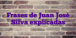 Frases de Juan José Silva explicadas