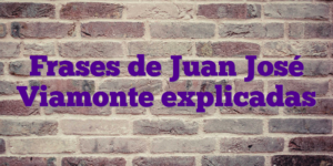 Frases de Juan José Viamonte explicadas