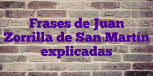 Frases de Juan Zorrilla de San Martín explicadas
