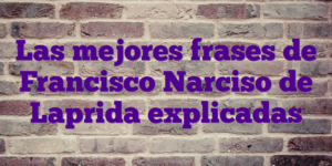 Las mejores frases de Francisco Narciso de Laprida explicadas