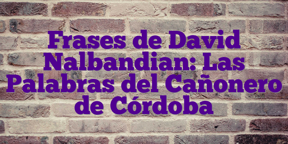 Frases de David Nalbandian: Las Palabras del Cañonero de Córdoba