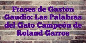 Frases de Gastón Gaudio: Las Palabras del Gato Campeón de Roland Garros