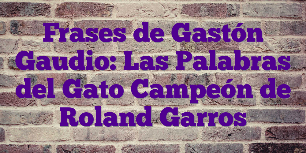 Frases de Gastón Gaudio: Las Palabras del Gato Campeón de Roland Garros