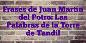 Frases de Juan Martín del Potro: Las Palabras de la Torre de Tandil