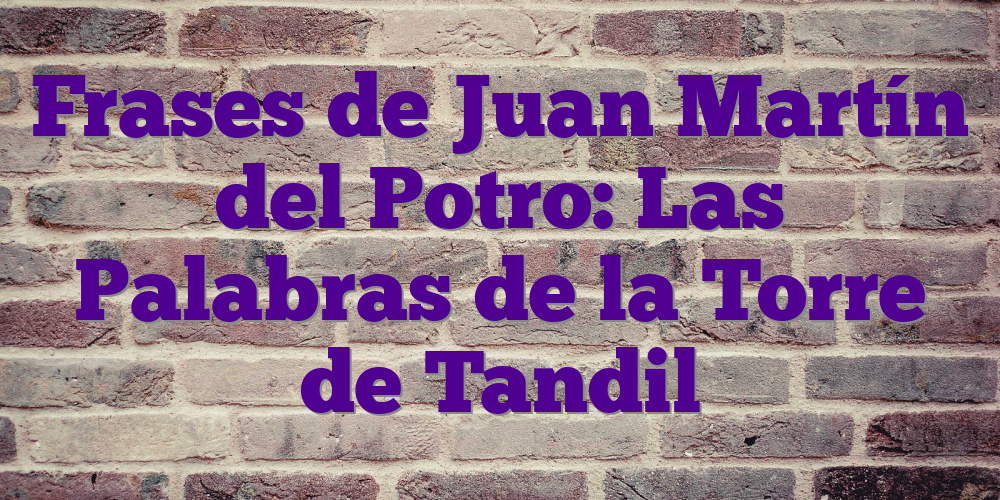 Frases de Juan Martín del Potro: Las Palabras de la Torre de Tandil